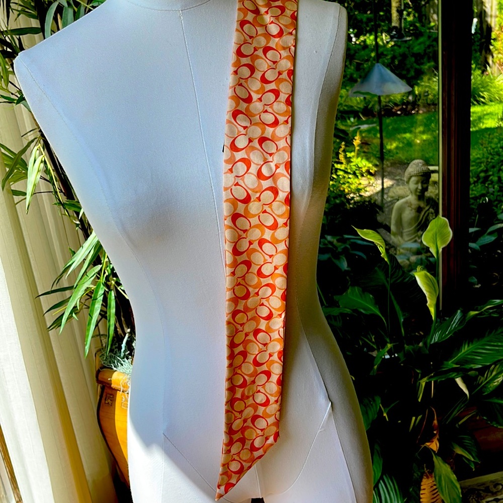 Coach scarf